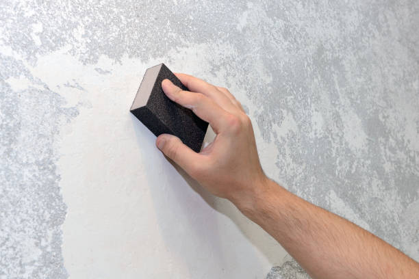 Best Commercial Mold Inspection  in Muscoda, WI