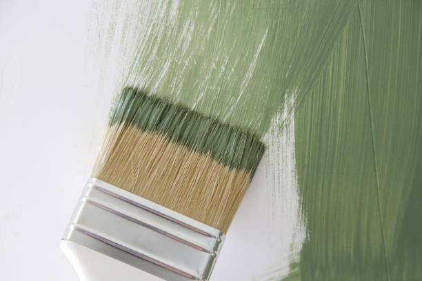 Best Mold Damage Restoration  in Muscoda, WI