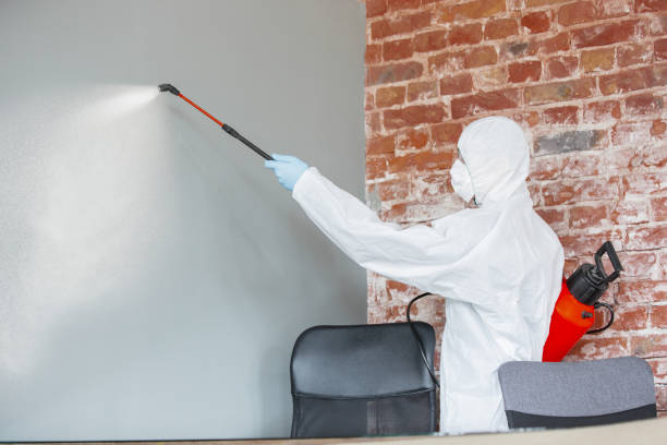 Best Biohazard Mold Removal  in Muscoda, WI