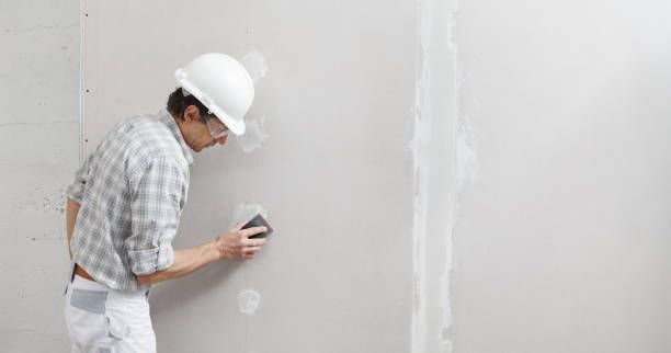 Best Black Mold Removal  in Muscoda, WI