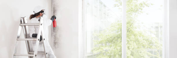 Best Mold-Related Health Consultation  in Muscoda, WI