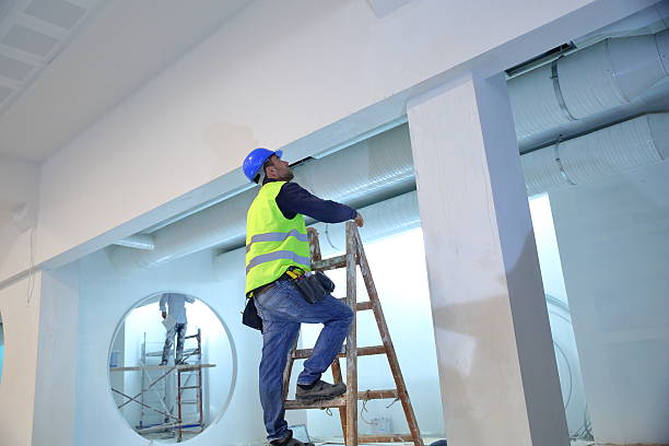 Best Emergency Mold Remediation  in Muscoda, WI