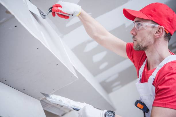 Best Mold Prevention Services  in Muscoda, WI