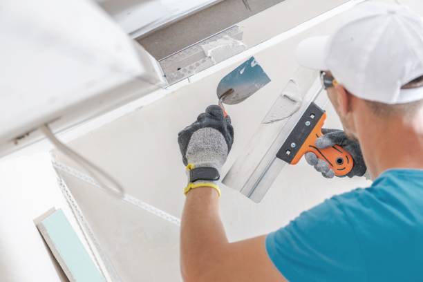 Best Environmental Consulting for Mold Prevention  in Muscoda, WI